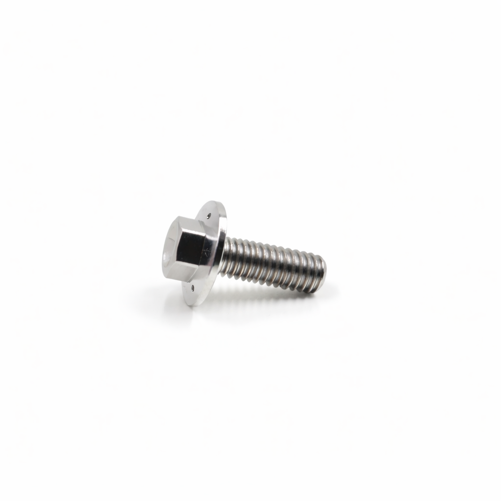 Titanium Hex Head Fender Bolt and Nut Kit (M6 X 1.00 X 14MM)